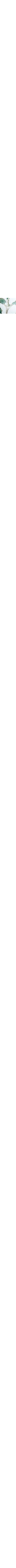 Blanc à motifs