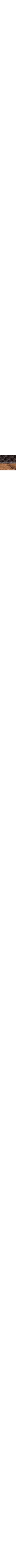 Brun à motifs