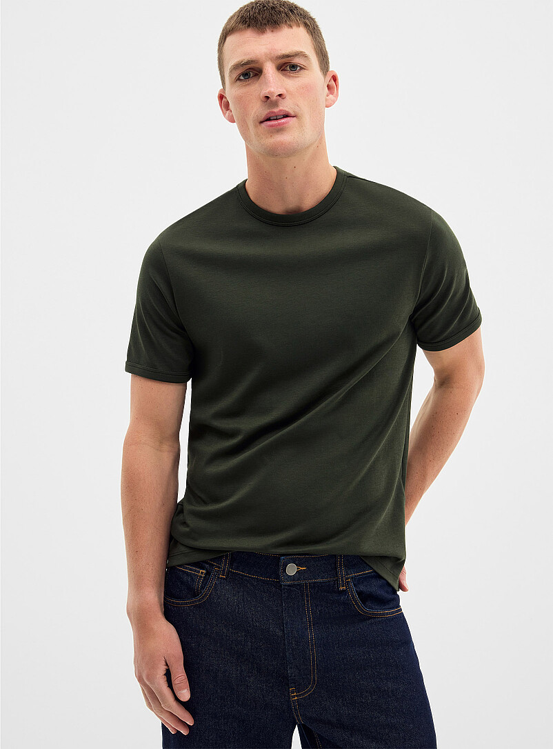 Dressy Pima Cotton Jersey T-Shirt Standard Fit
