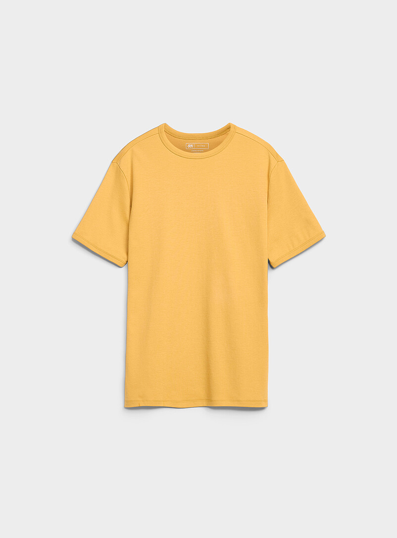 Dressy Pima Cotton Jersey T-Shirt Standard Fit