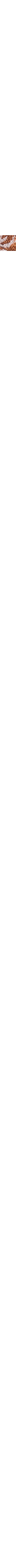 Patterned Ecru