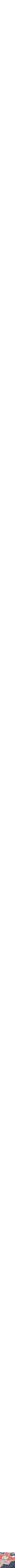 Assorti