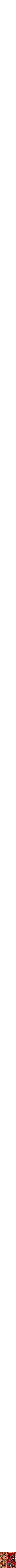 Assorti