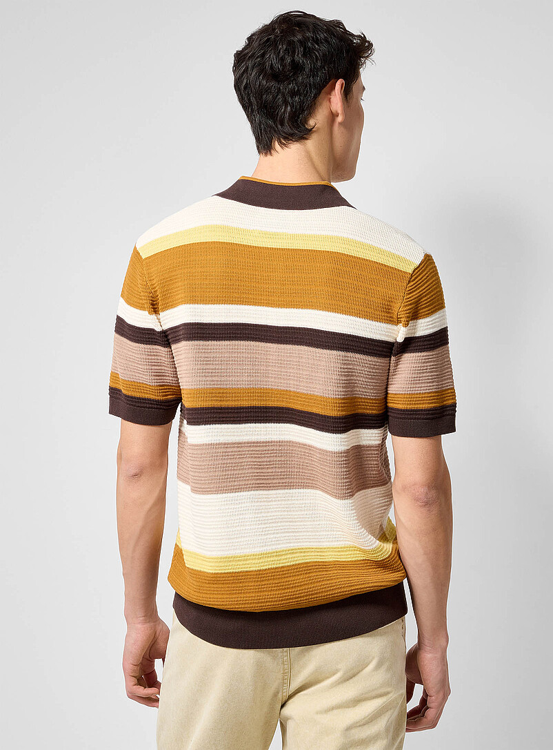 Earthy-stripe knit polo product image 2