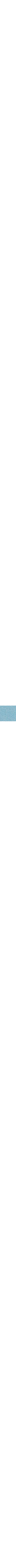 Sarcelle