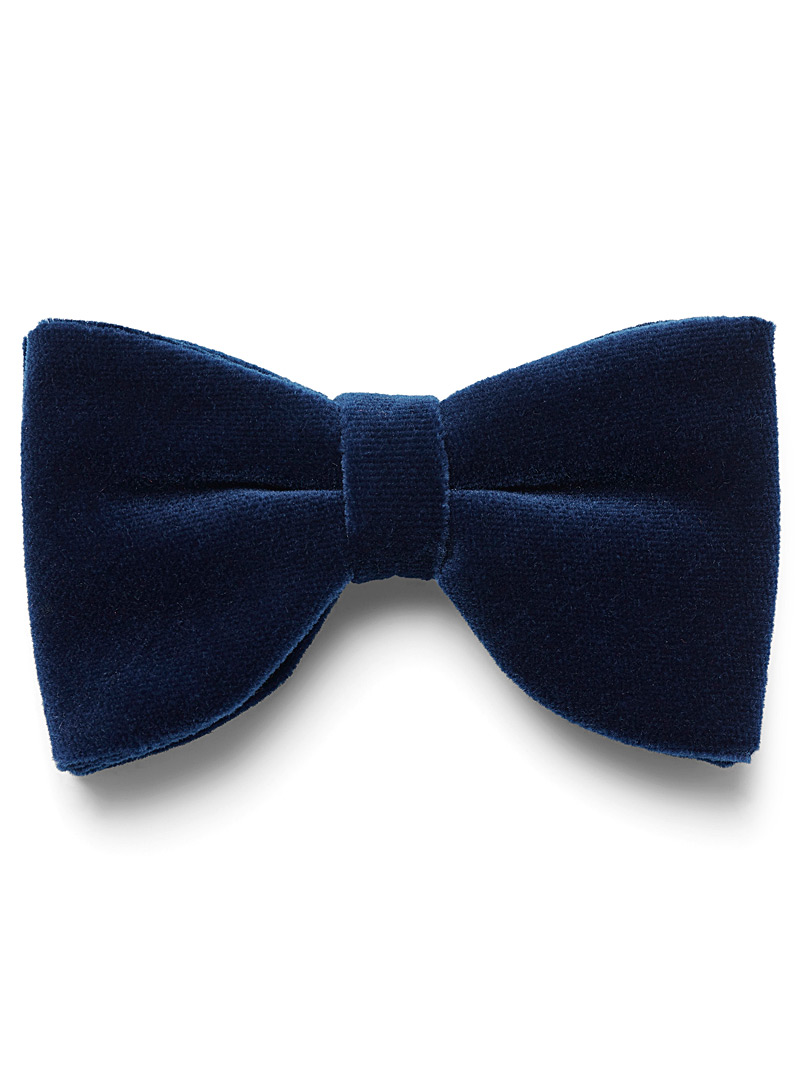 Blick Blue Rich velvet bow tie for men