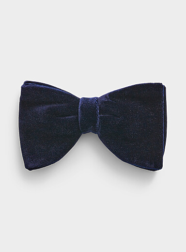 Le n&oelig;ud papillon surdimensionn&eacute; riche velours