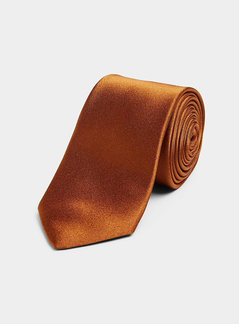 Blick Copper/Rust Satiny colourful tie for men