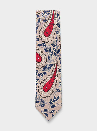 Artistic paisley tie