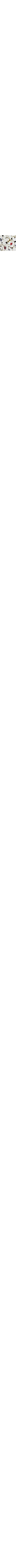 Écru à motifs