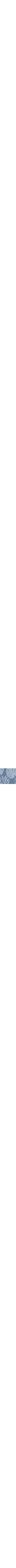 Bleu à motifs