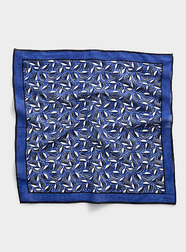 Le foulard banc de petits poissons