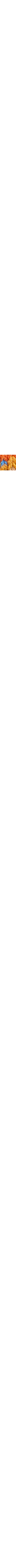 Brun à motifs