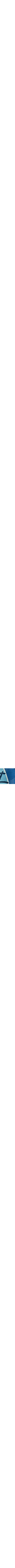 Bleu à motifs