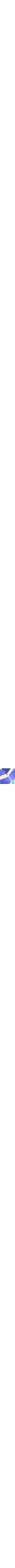 Bleu à motifs