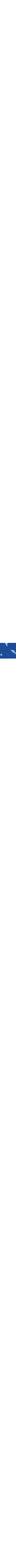 Bleu à motif
