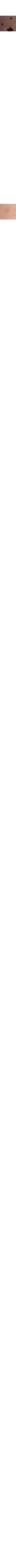 Beige - Grège