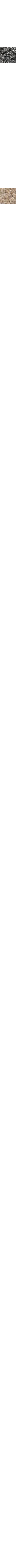 Charbon