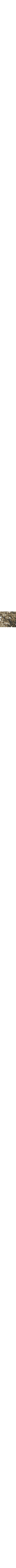Vert à motifs