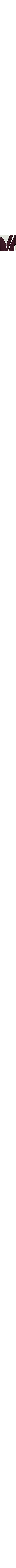 Écru à motifs