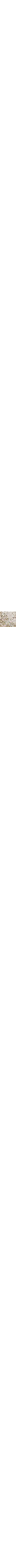 Vert à motifs