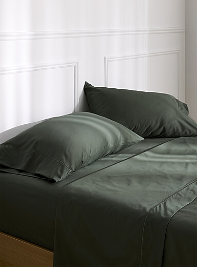 Simons Maison: L'ensemble draps coton &eacute;gyptien 480 fils au pouce Pour matelas jusqu'&agrave; 16 po Vert fonc&eacute; - Mousse