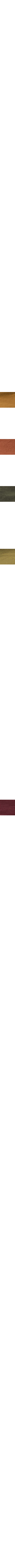 Orange brûlé