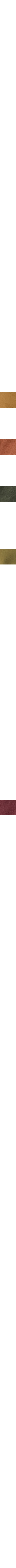 Orange brûlé