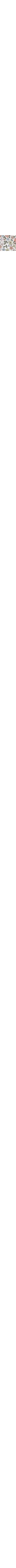 Écru à motifs