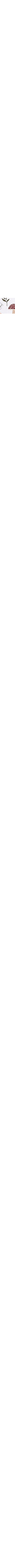 Blanc à motifs