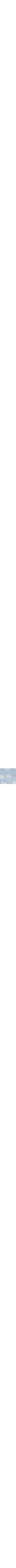 Bleu à motifs
