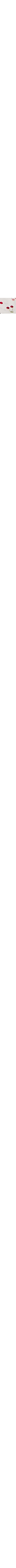 Blanc à motifs