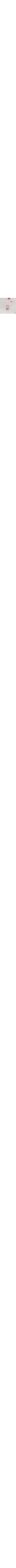 Blanc à motifs