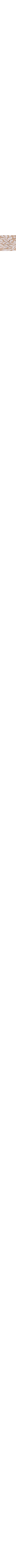 Beige à motifs