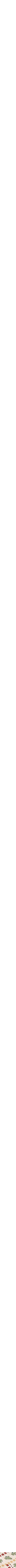 Assorti