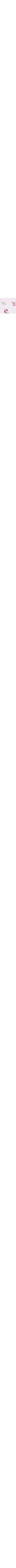 Blanc à motifs