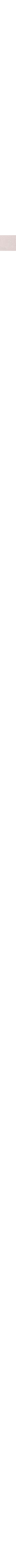 Patterned Ecru