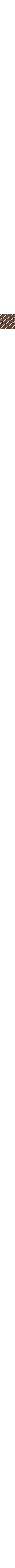 Brun à motifs