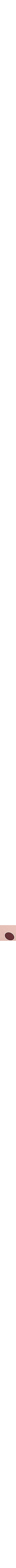 Pourpre à motifs