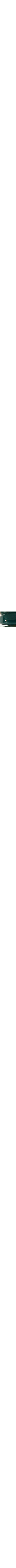 Vert à motifs