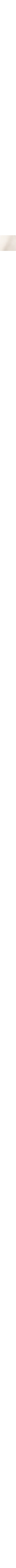 Écru à motifs