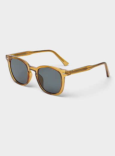 Kurt translucent rounded sunglasses