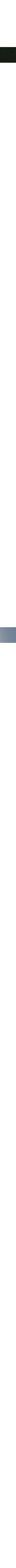 Charbon