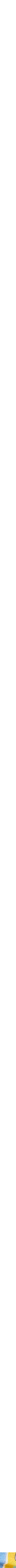 Assorti