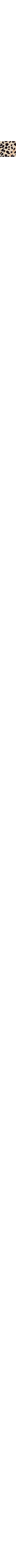 Noir à motifs
