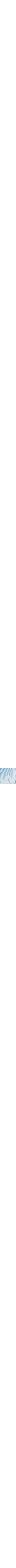 Bleu à motifs
