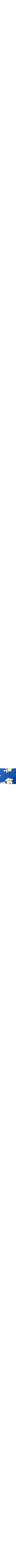 Bleu à motifs