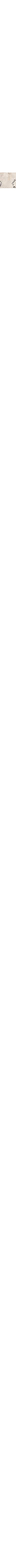 Blanc cassé