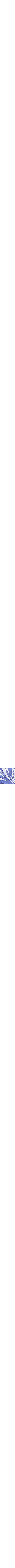 Patterned Blue