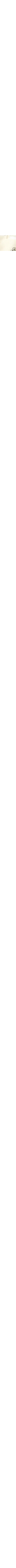 Patterned Ecru